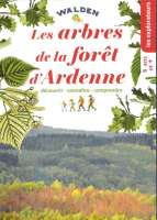 Les arbres de la forêt d'Ardenne