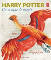 Harry Potter  : un monde magique