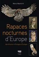 Rapaces nocturnes d'Europe : identification, biologie, écologie